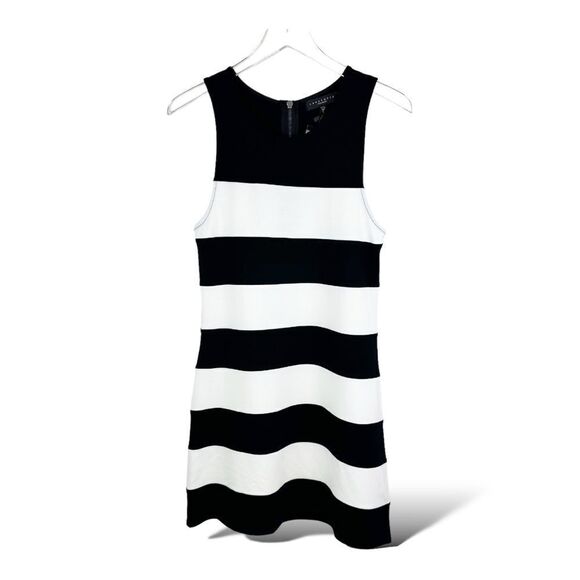 Sanctuary Bold Black/White Striped Bodycon Sheath Dress exposed Zip Sz M New - Picture 1 of 11
